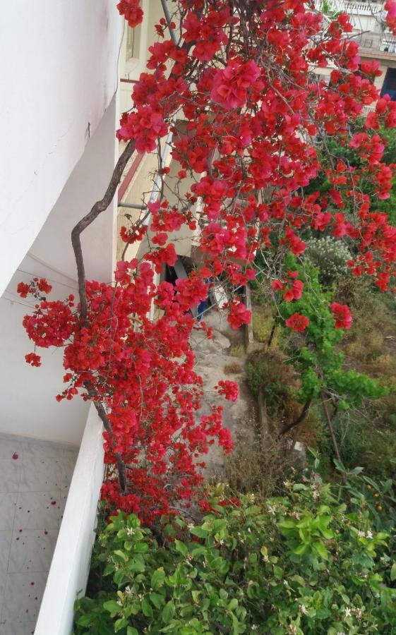 apartment in poros Poros Town Exterior foto